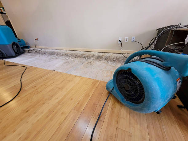 Reliable Basement Flood Cleanup contractor in Adamsville, OH by Hirex Water Damage