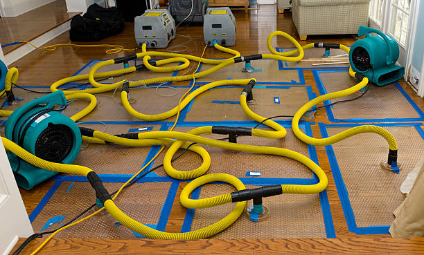 Professional Basement Flood Cleanup technician working in Adamsville, OH