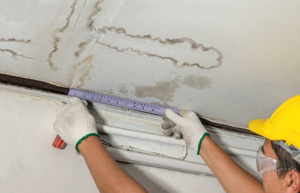 Affordable Water Damage Repair solutions in Adamsville, OH